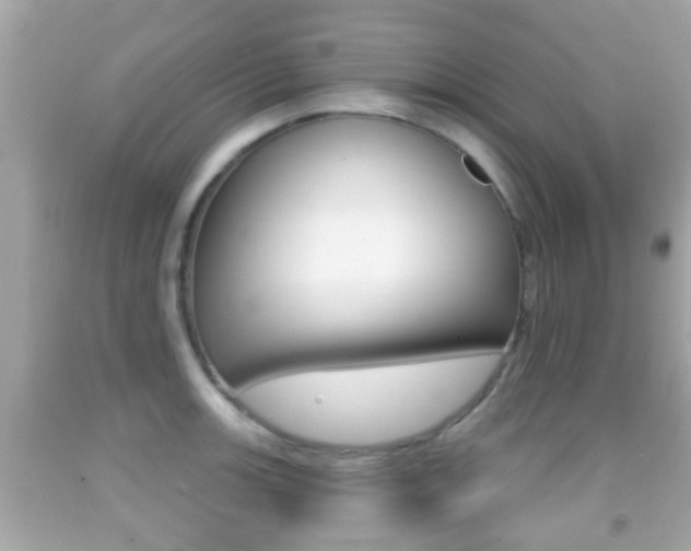 X0000092041139200709121000