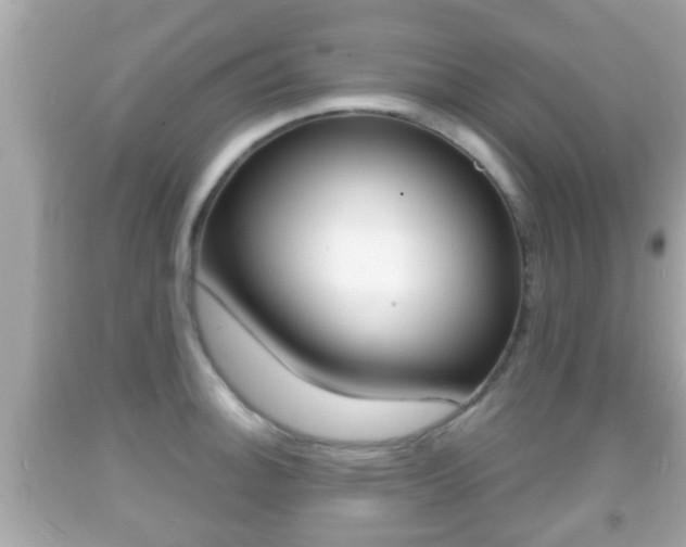 X0000092041140200709121000