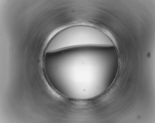 X0000092041141200709121000