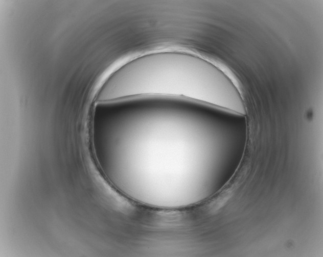 X0000092041142200709121000