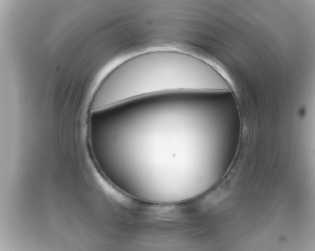 X0000092041143200709121000