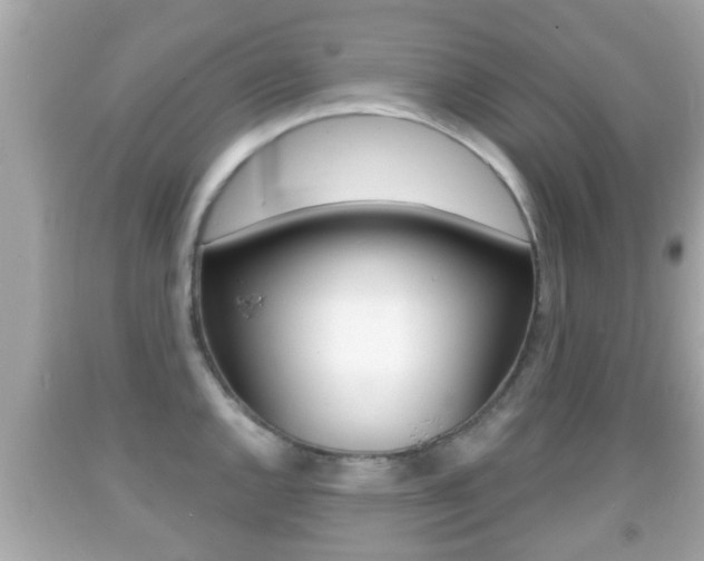 X0000092041144200709121000