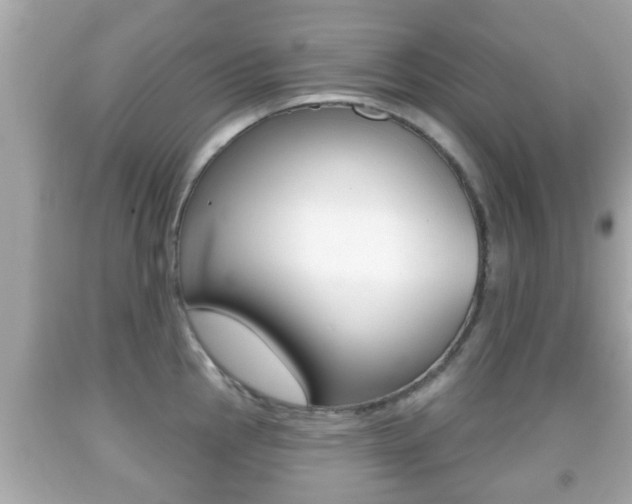 X0000092041145200709121000