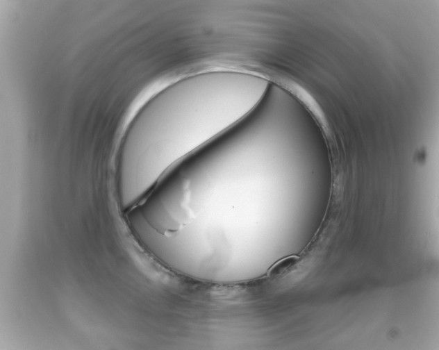 X0000092041146200709121000