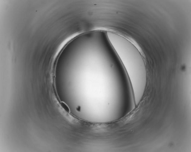 X0000092041148200709121000