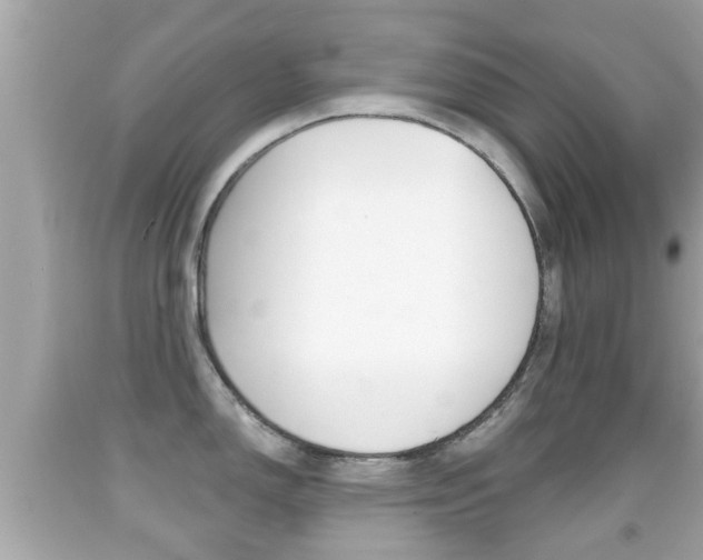 X0000092041150200709121000