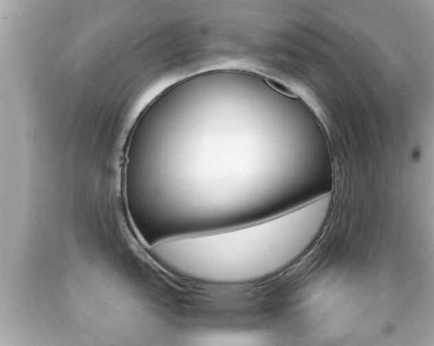 X0000092041151200709121000