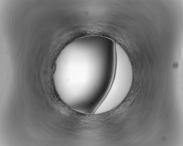X0000092041153200709120959