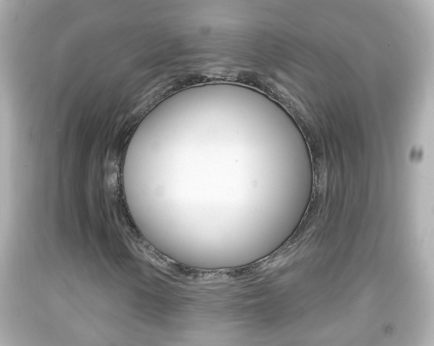 X0000092041154200709120959