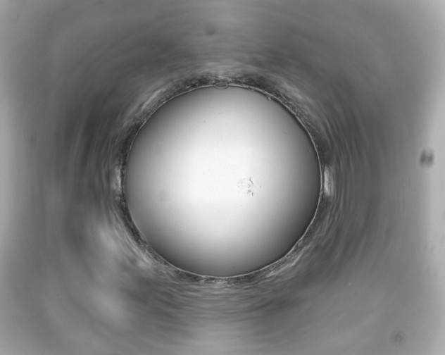 X0000092041155200709120959