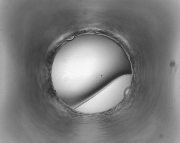 X0000092041159200709120959