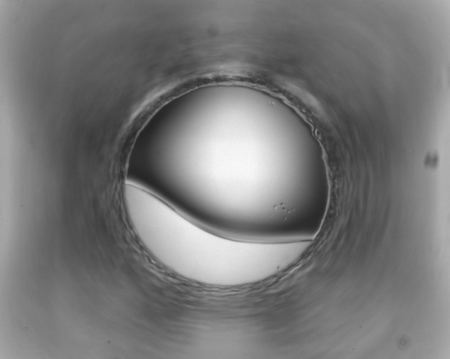 X0000092041160200709120959