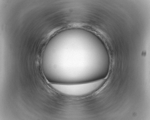 X0000092041161200709120959