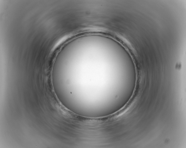 X0000092041163200709120959