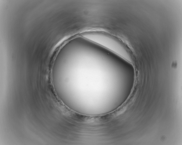 X0000092041165200709120959