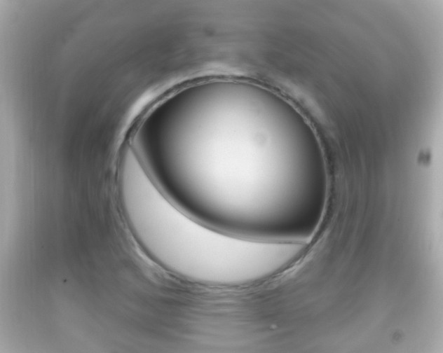 X0000092041168200709120959