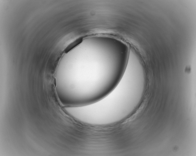 X0000092041169200709120959