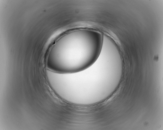 X0000092041172200709120959