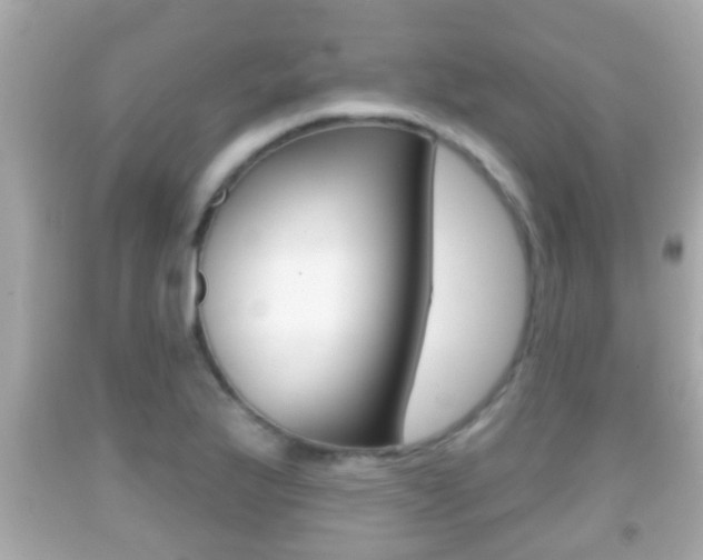 X0000092041175200709120959