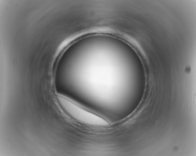 X0000092041176200709120959