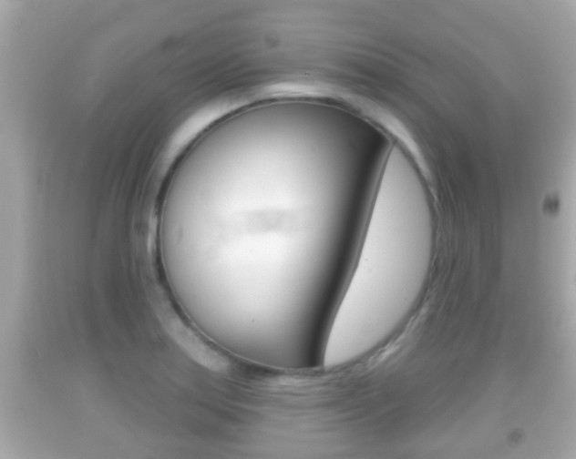 X0000092041179200709120959