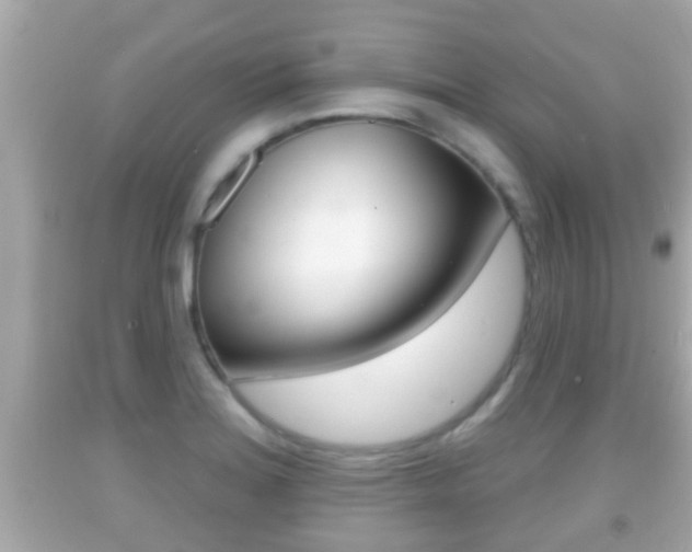 X0000092041180200709120959