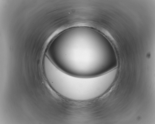 X0000092041181200709120959