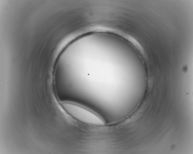 X0000092041183200709120959