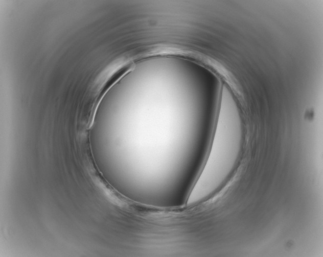 X0000092041185200709120959