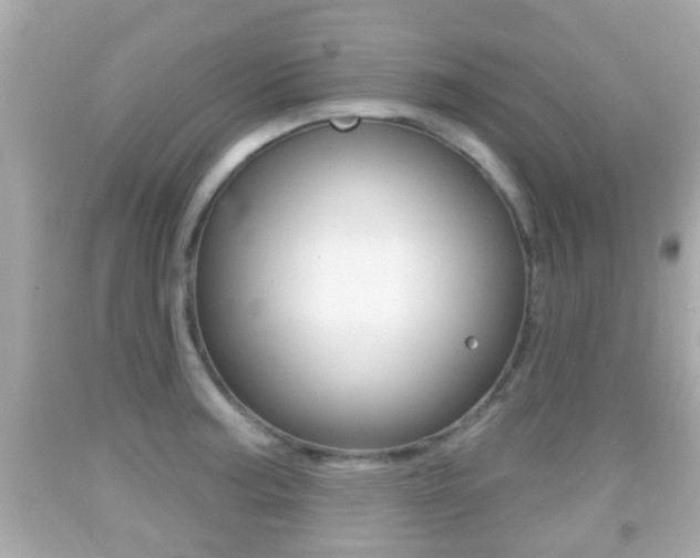 X0000092041187200709120959