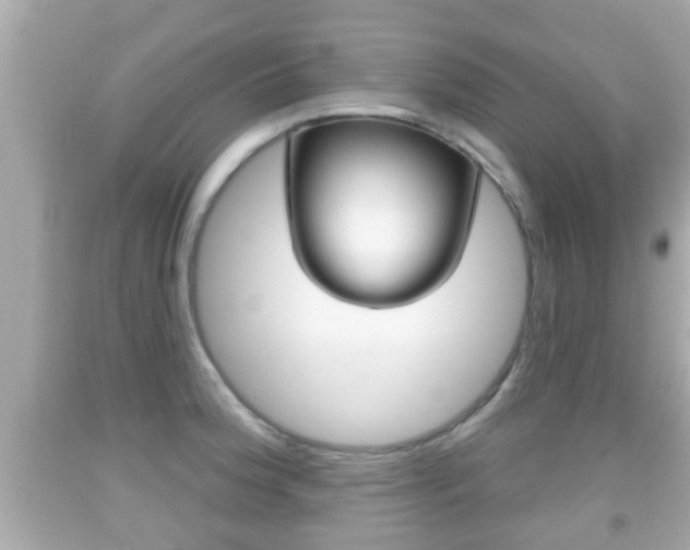 X0000092041188200709120959