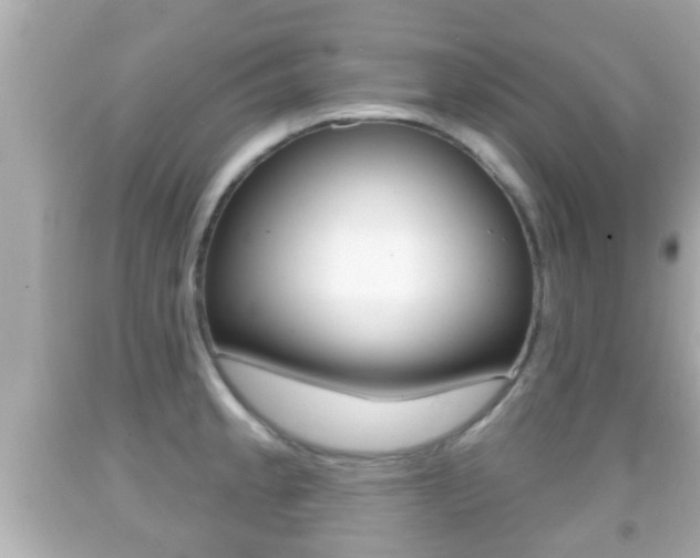 X0000092041189200709120959