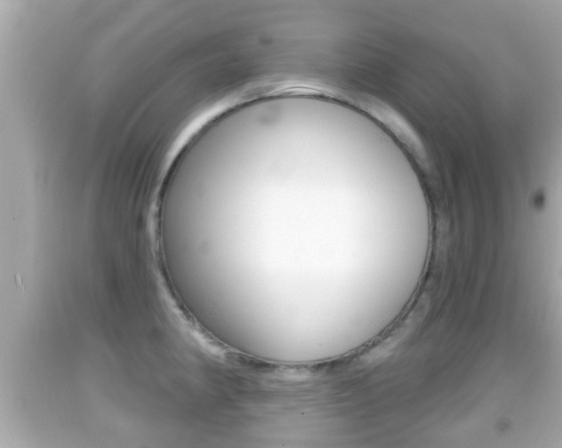 X0000092041190200709120959