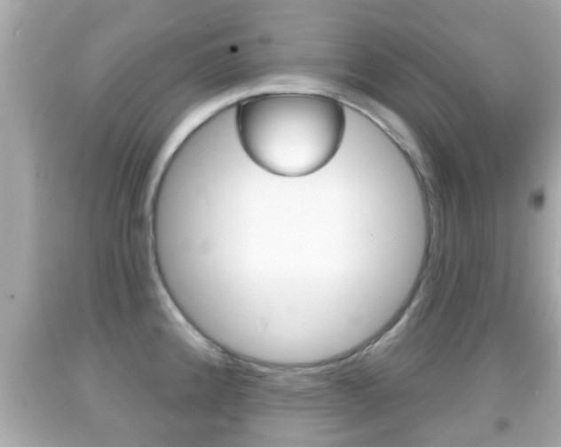 X0000092041192200709120959