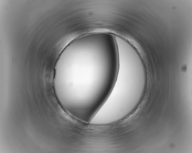 X0000092041193200709120959