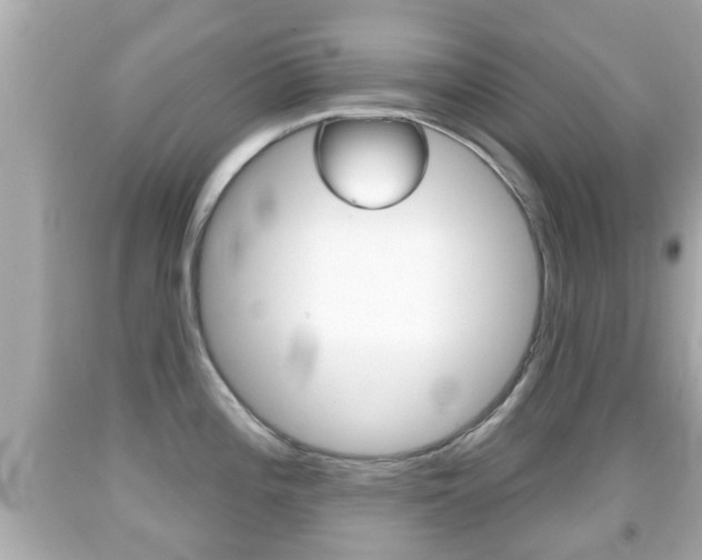 X0000092041196200709120959