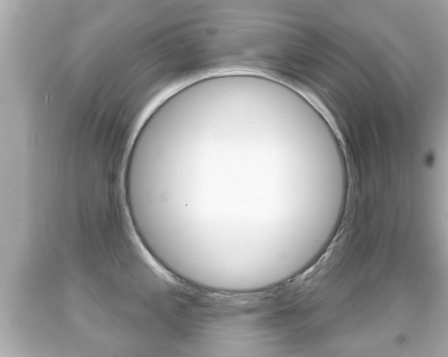 X0000092041197200709120959