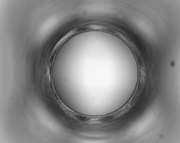 X0000092041198200709120959