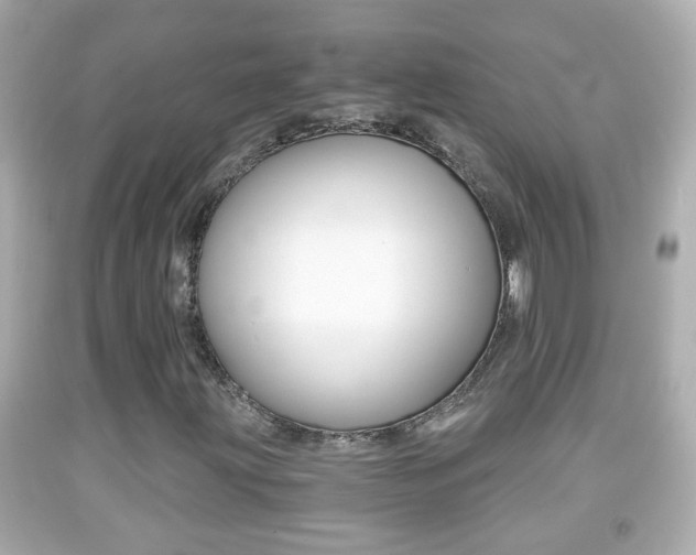 X0000092041203200709120958