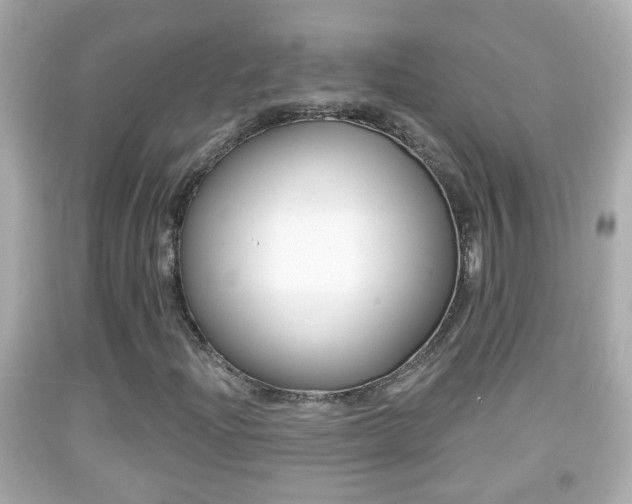 X0000092041204200709120958