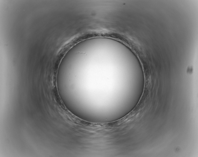 X0000092041205200709120958