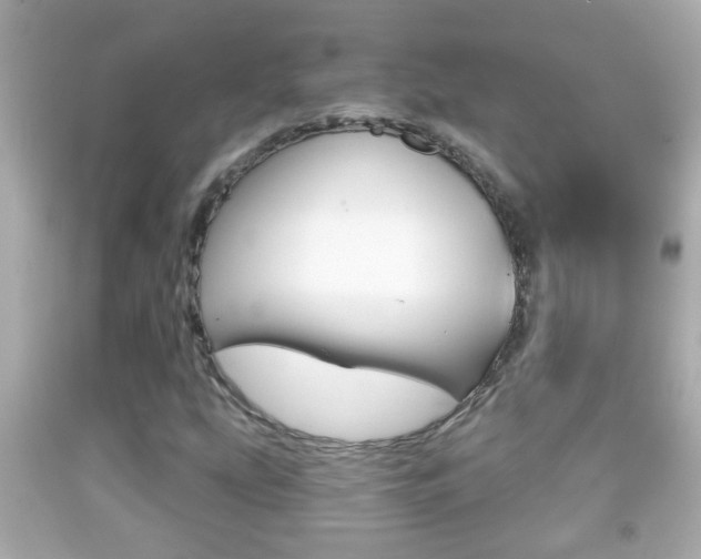 X0000092041207200709120958