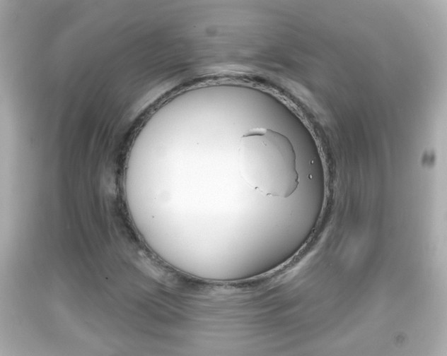 X0000092041209200709120958