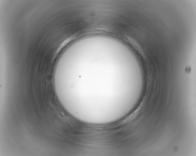 X0000092041210200709120958