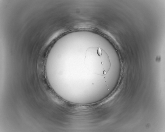 X0000092041211200709120958
