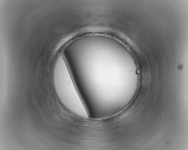 X0000092041213200709120958
