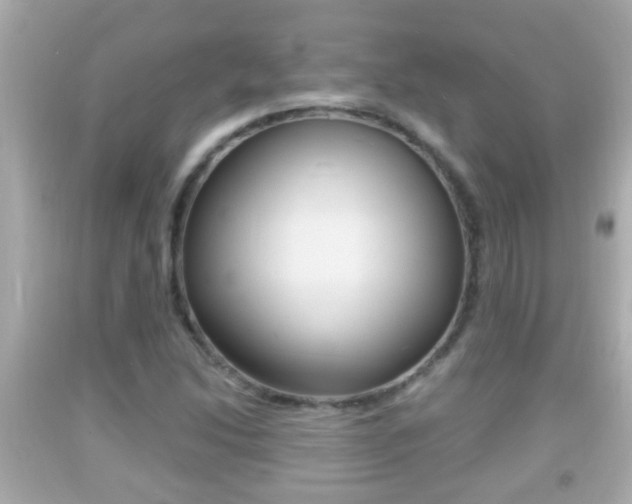 X0000092041214200709120958