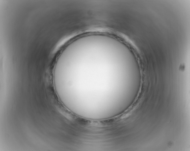 X0000092041215200709120958