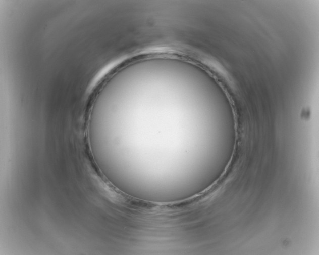 X0000092041216200709120958