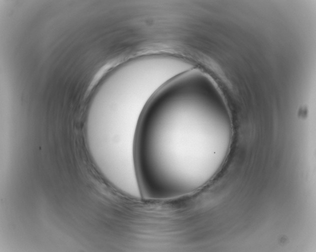 X0000092041218200709120958